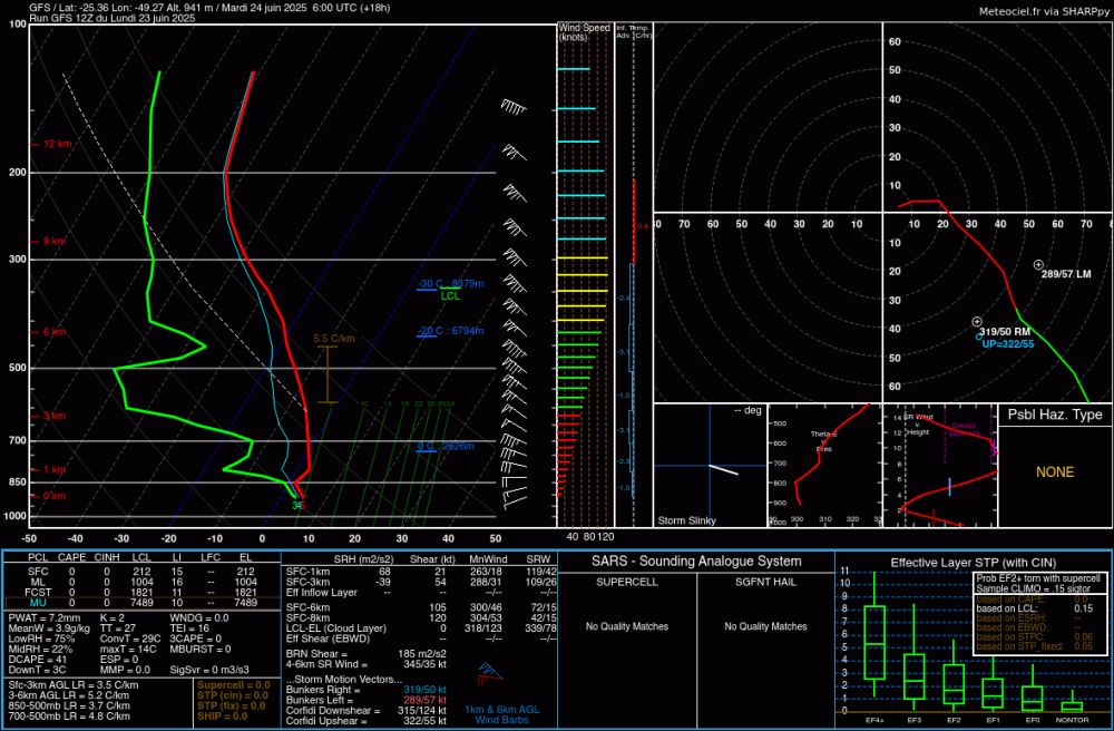 sondagegfs_-49.274252_-25.363417_18_10 (1).png