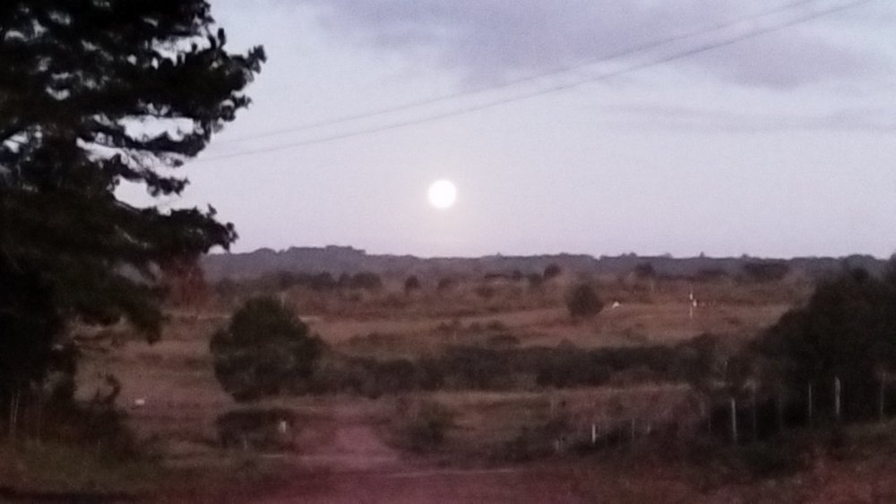 IMG-20250611-WA0115.jpeg
