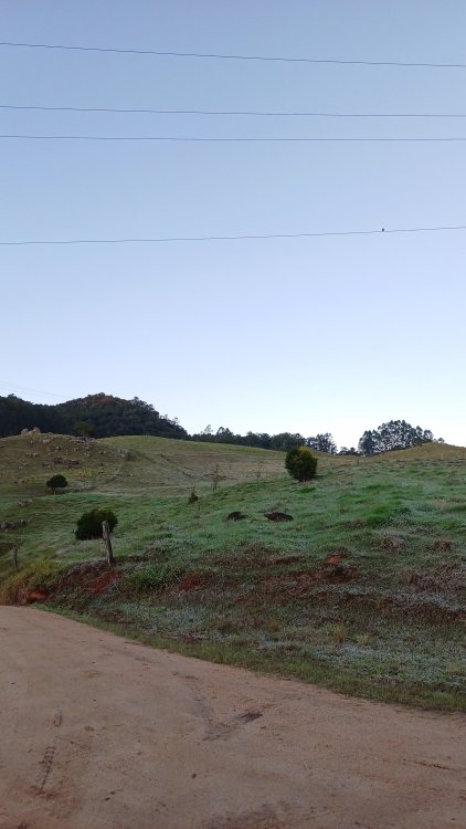 20250702_071520.jpg