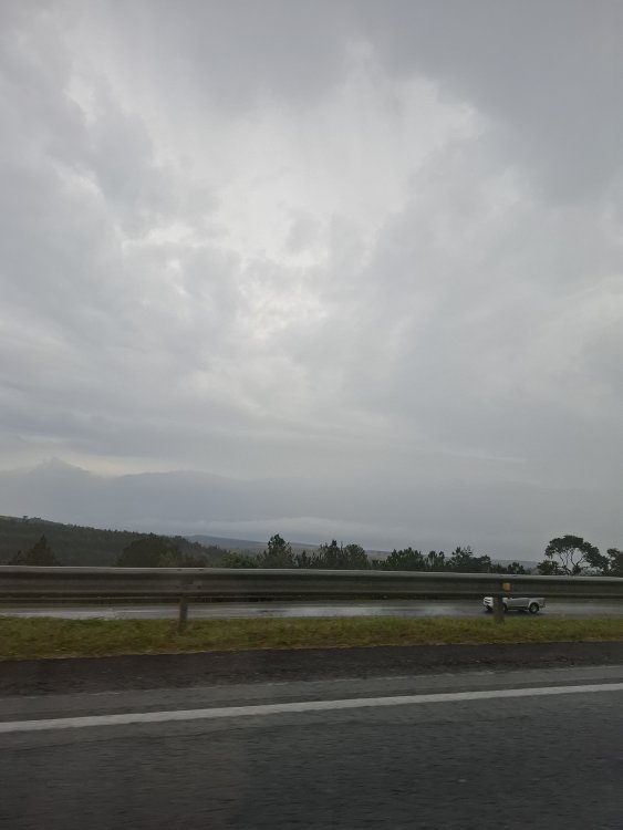 20250725_100325.jpg
