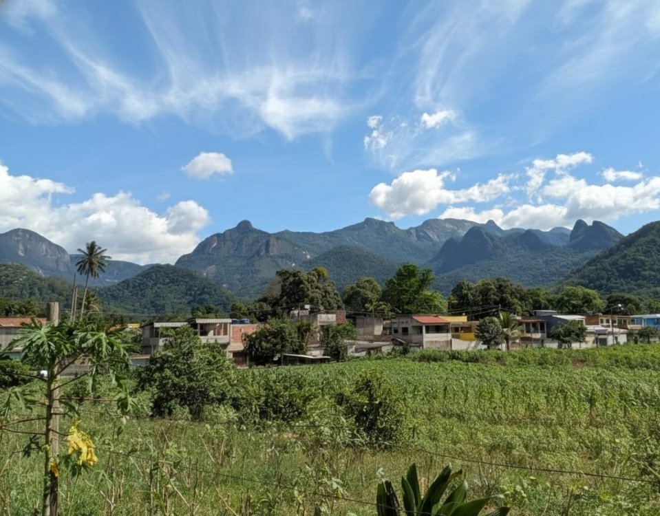 WhatsApp Image 2025-12-11 at 13.18.41.jpeg