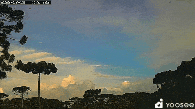 GIF_20260208_201218_052.gif.895579dc08f31a89b732b17b16ff82a9.gif