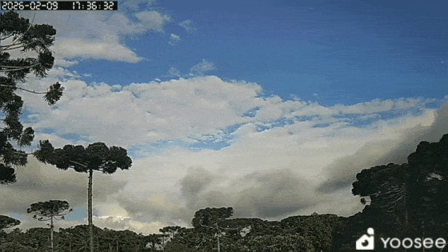 GIF_20260209_194910_967.gif.6839049884c8edc85fb00ed7b70d259f.gif