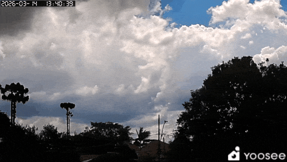 GIF_20260314_200227_456.gif.d0a86aa1fb6f24eeecbddb5abc4cb65c.gif