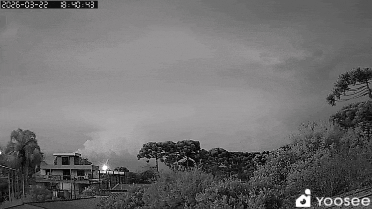 GIF_20260322_195454_606.gif.2c98f9b00149a26fc3fbbb094e65e219.gif