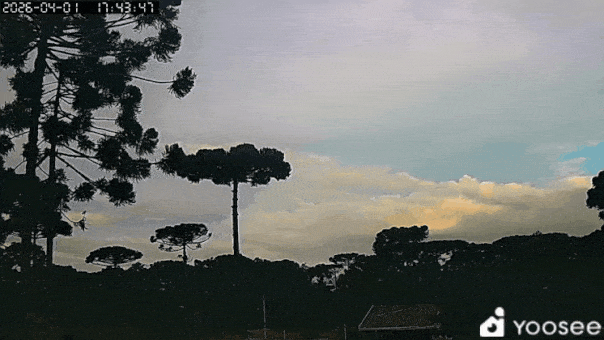GIF_20260401_190252_190.gif.e6c546b29881ef9043df591f639bbd06.gif