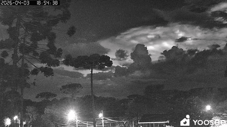GIF_20260403_195054_388.gif.0279685c2d45f0e716961c2f7a8a481a.gif