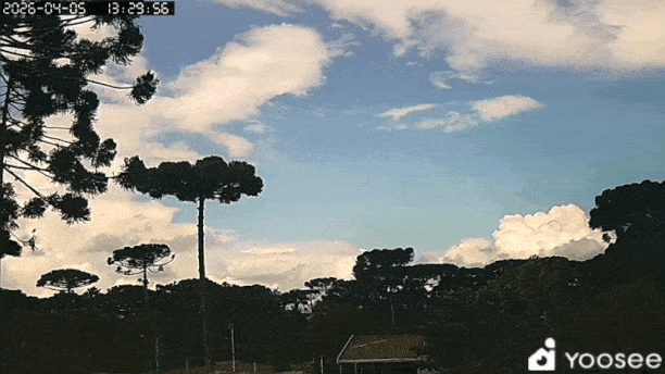 GIF_20260405_221531_628.gif.8b040f9e53245de5a637f3403795311a.gif
