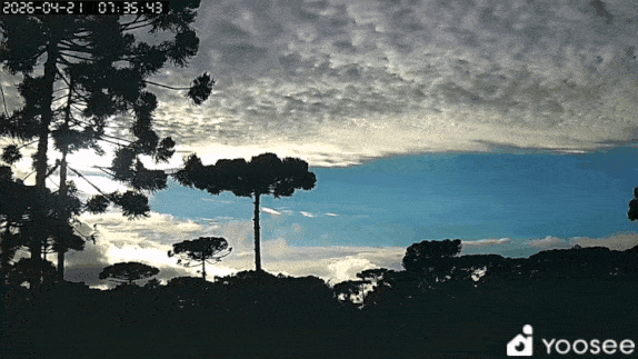 GIF_20260421_190719_151.gif.604ea47e5ad645d2689054af7df723ae.gif