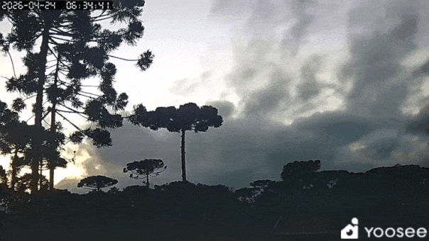 GIF_20260425_020723_631.gif.1a01cd883d60f1f98593a91ca0fd4015.gif