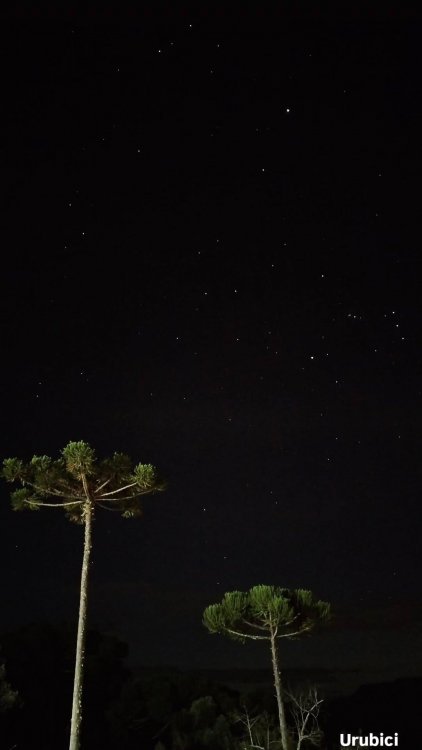 IMG_20260425_205553_731.jpg