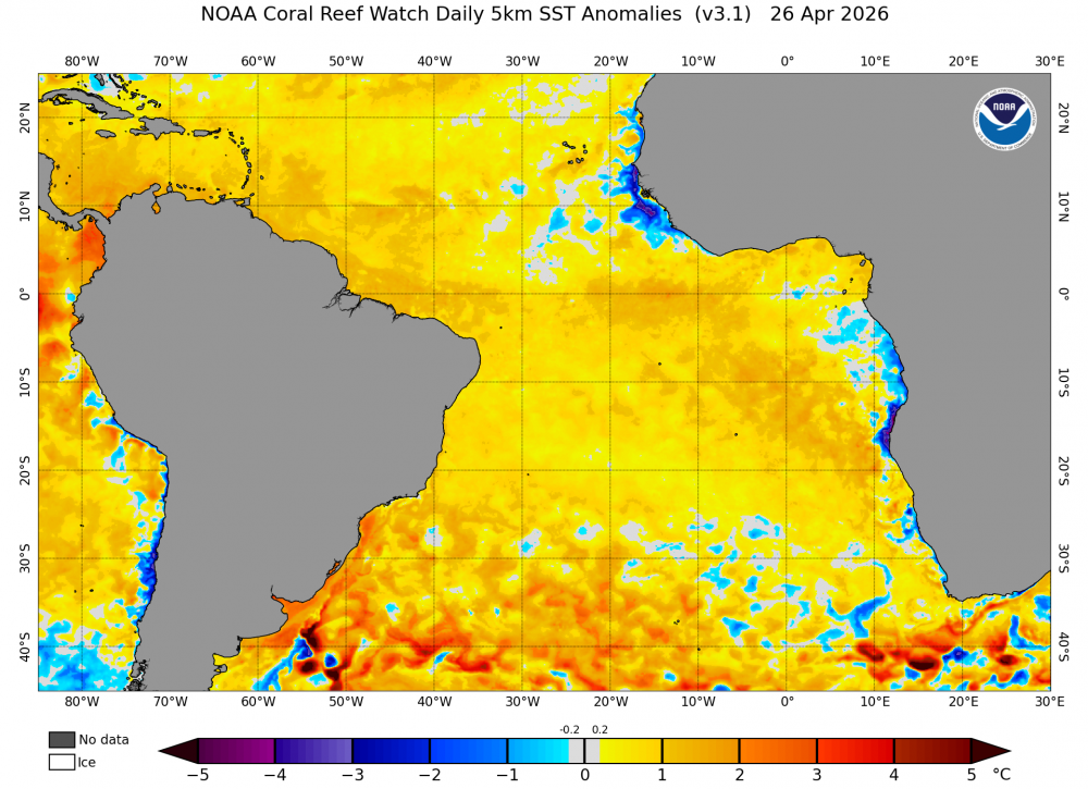 ct5km_ssta_v3.1_satlantic_current.thumb.png.19f31ec086578116edd17b85db53158d.png