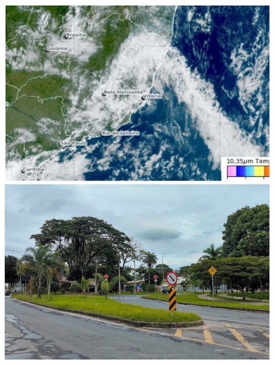 20260504_102521-COLLAGE.thumb.jpg.61cc6d68d7141a51d6739f00b28223fc.jpg