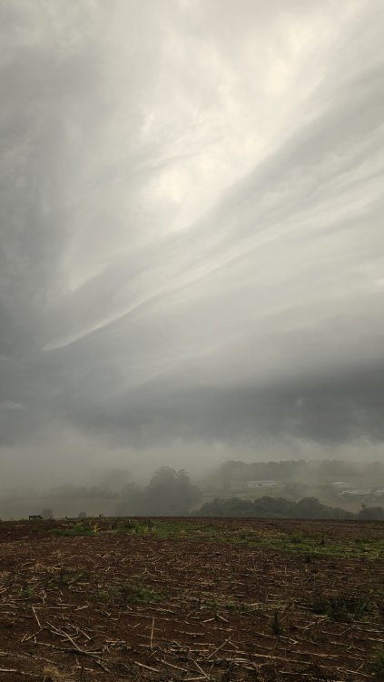 20260525_173655.thumb.jpg.e9f2588251f8152e15a0ae1df82d7dfa.jpg