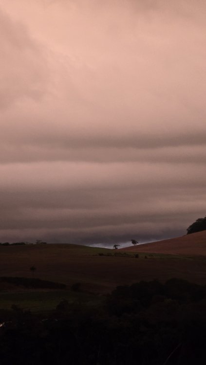 20260525_175705.thumb.jpg.b10c3c4d331c4f18ec24d3132188b143.jpg