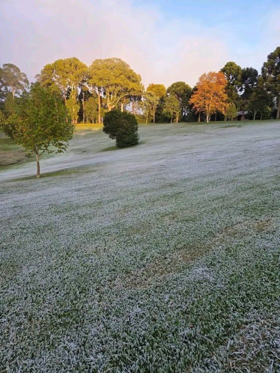 parquedas araucárias.jpeg