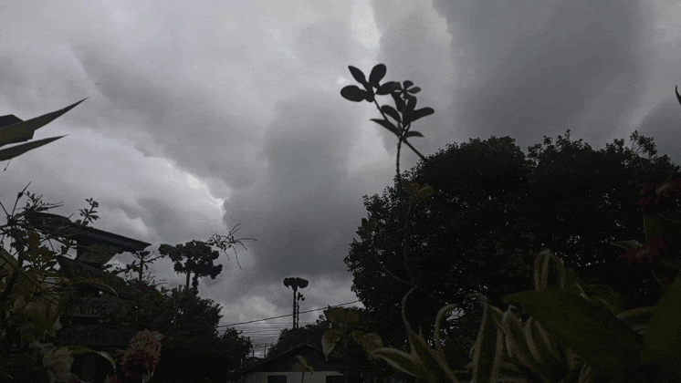GIF_20260502_103407_423.gif.7ae991ba24d3bd9329957e9756c2a756.gif