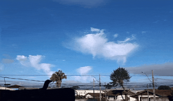 GIF_20260529_100034_817.gif.10cebfc093195e9af980f81c886ec73f.gif