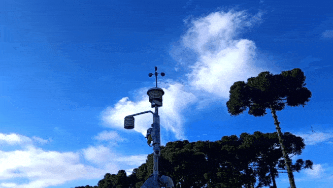 GIF_20260529_100505_935.gif.4259c7ceaa04366171fe1dd3ad82ff40.gif