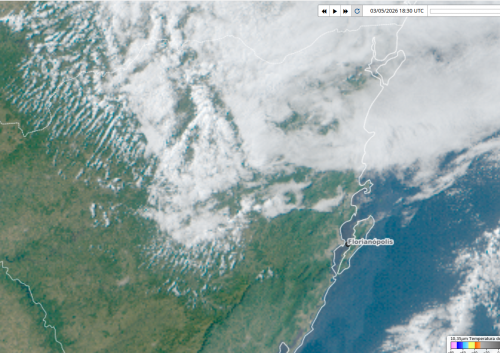 image.thumb.png.ef193511459c13e4080109b531a9dc89.png