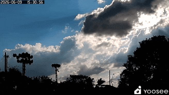 GIF_20260609_194134_659.gif.c2b60a4ea5c10d439861087875e98836.gif
