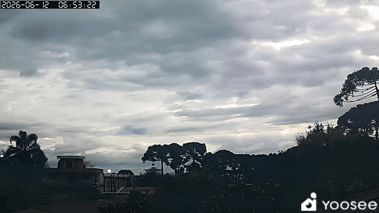 GIF_20260612_081309_131.gif.9179d6f69860f218146b7cee9c5ba37d.gif
