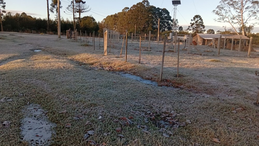IMG-20260624-WA0034.jpeg
