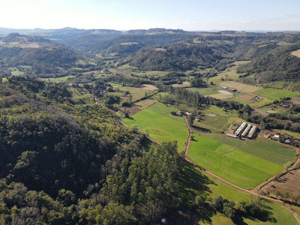 dji_fly_20260601_142912_850_1780335216986_photo.thumb.jpg.d530609af6d883fb74446b5ddb72be2b.jpg