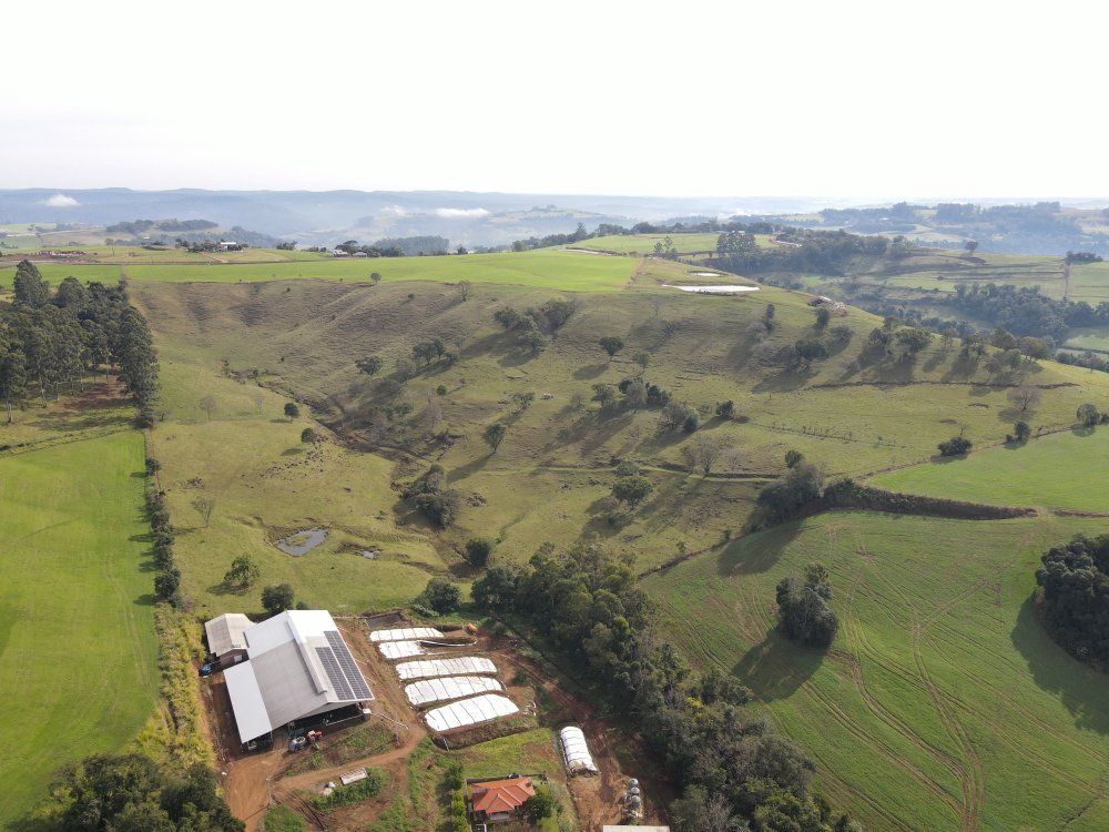 dji_fly_20260618_111026_110_1781792000018_photo.thumb.jpg.6fda413cde982d60c6501389d35d1fcd.jpg