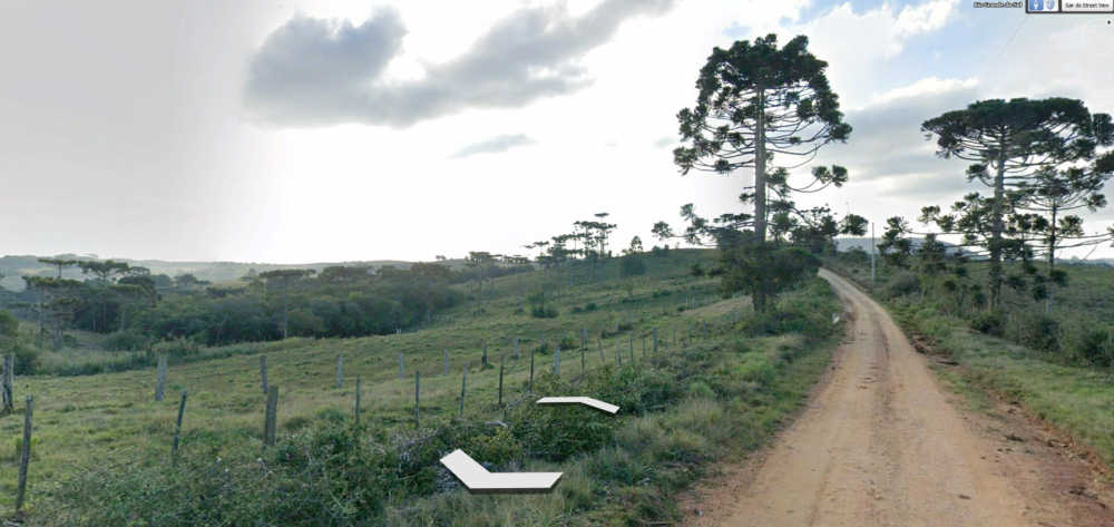 1872614943_Capturadetela2026-07-07211716.thumb.png.72e5c95b08adfc919134a092947d8ec6.png