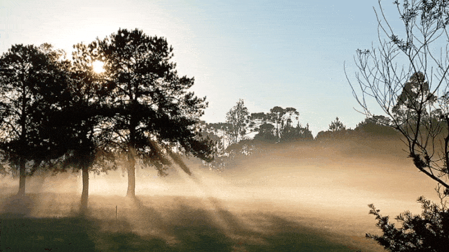 GIF_20260702_081643_209.gif.26f55ccb8ad2f137a1ee19369101d67a.gif