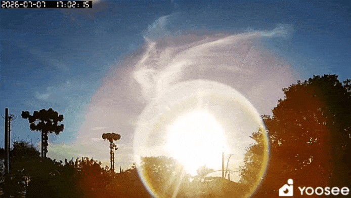 GIF_20260707_210809_679.gif.19038a880736e9f24721754c8e97d0b7.gif