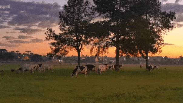 GIF_20260710_083201_923.gif.d9fdaa496fbc0b45e9dcf37e43486357.gif