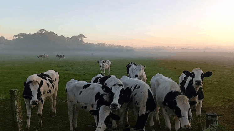 GIF_20260717_205100_784.gif.42250ae5c2015ab41083998d8dee91df.gif