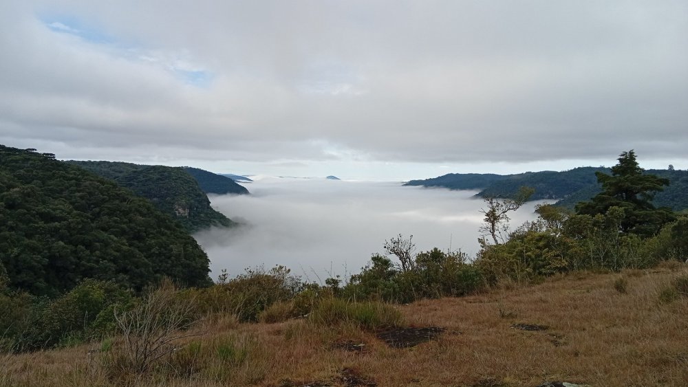 IMG-20260701-WA0058.jpeg