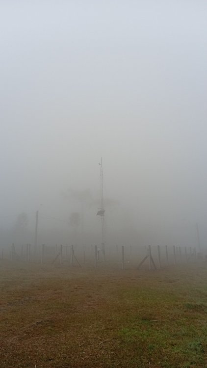 IMG-20260706-WA0053.jpeg