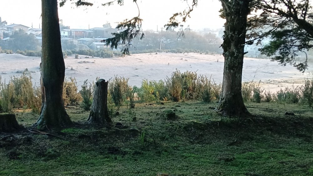 IMG-20260708-WA0017.jpeg