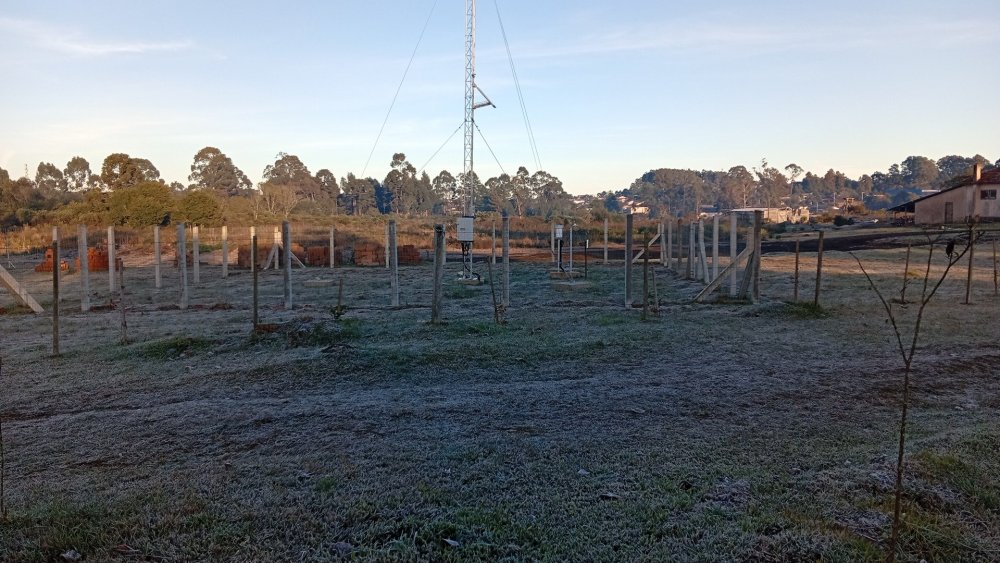 IMG-20260708-WA0021.jpeg