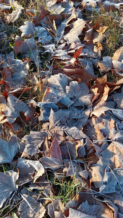 IMG-20260708-WA0023.jpeg