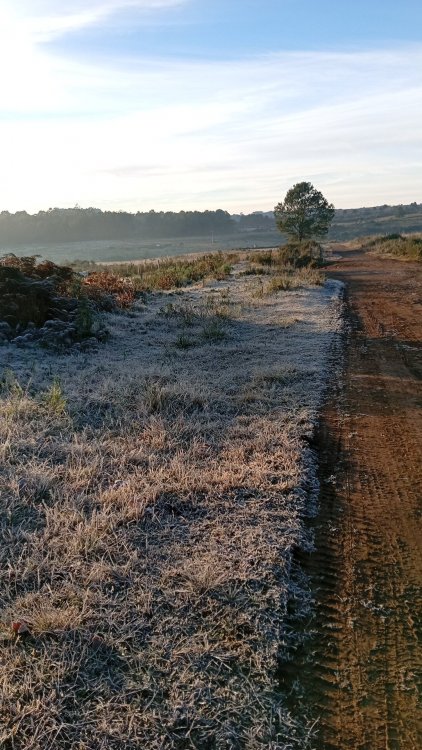 IMG-20260708-WA0029.jpeg