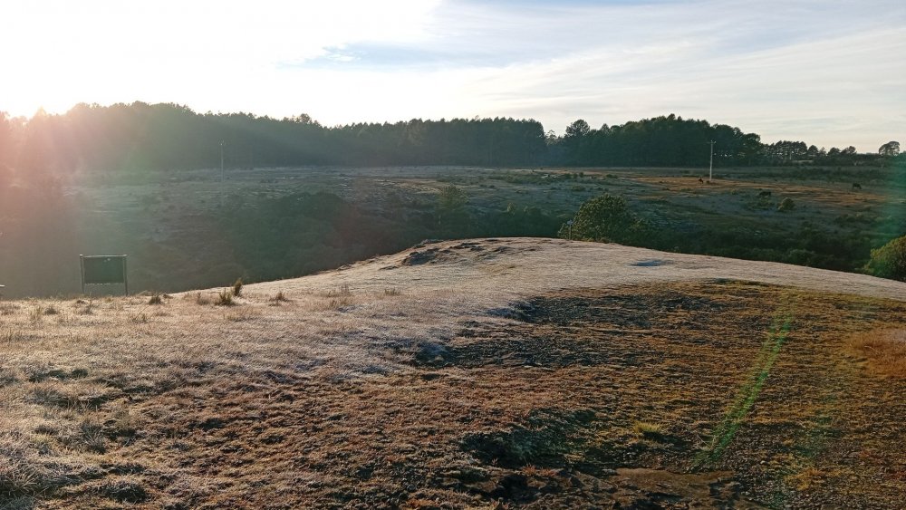 IMG-20260708-WA0038.jpeg