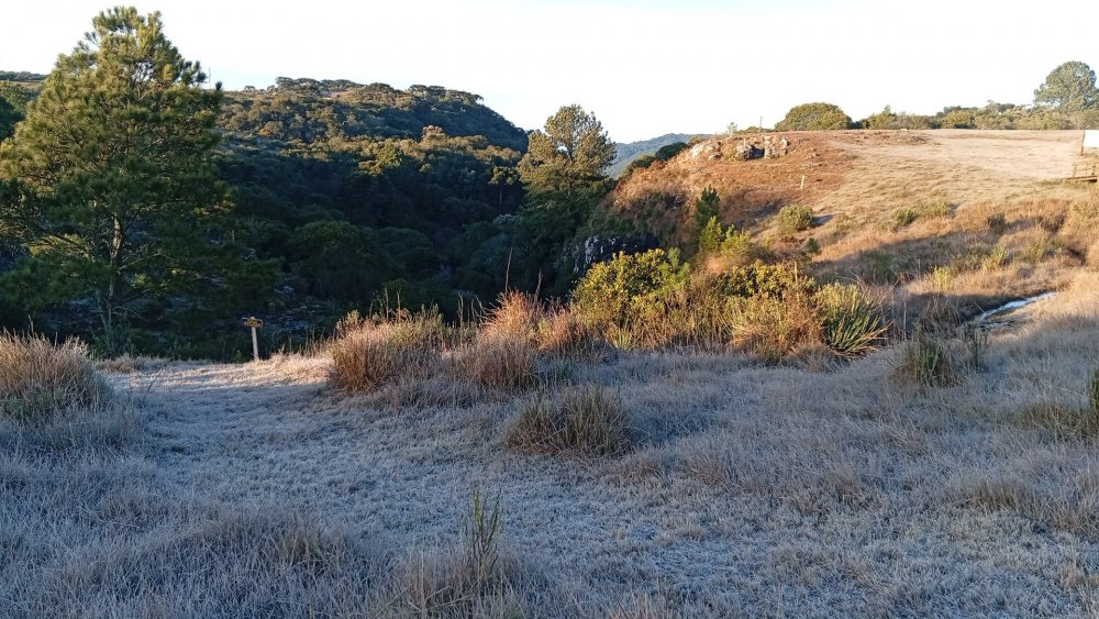 IMG-20260708-WA0046.jpeg