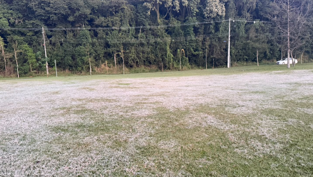 image.thumb.png.2005cc96159909e51fbda3909c52f3c7.png