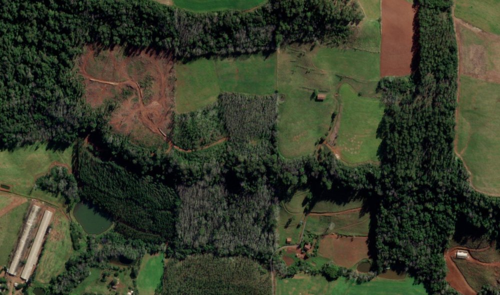 photo_5075769291193388396_w.thumb.jpg.161383207751e82b336894f0350d606d.jpg