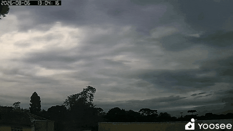 GIF_20260806_180905_415.gif.d6dfa9cbabf11cfec72014b1b30c809d.gif