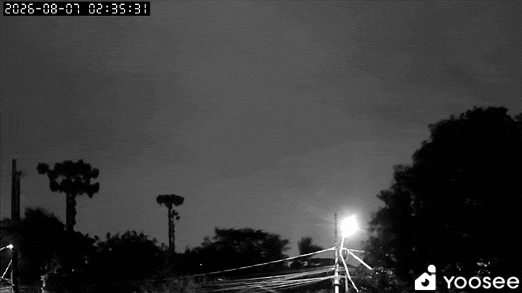 GIF_20260807_034521_049.gif.7d5606e6679090fd589d8d95b29f8996.gif
