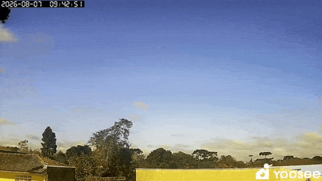GIF_20260807_212115_678.gif.46ff5d2ec43897d147fd239bc9d36ccf.gif