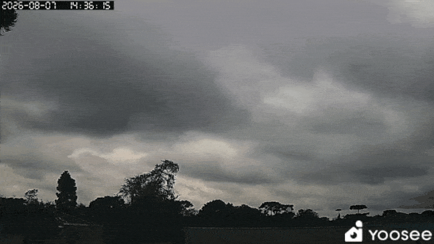 GIF_20260807_212234_445.gif.6e2cc0fa05cba3f831c43d2044450564.gif