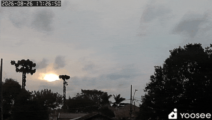 GIF_20260826_180044_686.gif.bda888fa99d5be242652853984f4c853.gif
