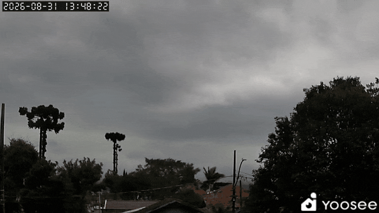 GIF_20260831_143941_996.gif.6e0dbc067ca47832f84580c5b76c53a7.gif